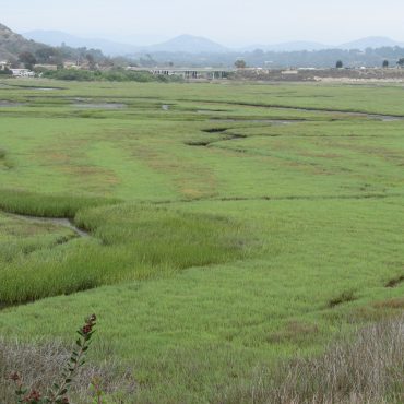 sprawling fields of the southwest side Central Basin
