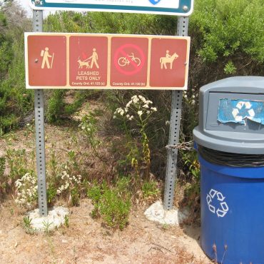 trail signs at Santa Carina trailhead with California Everlasting growing beneath it