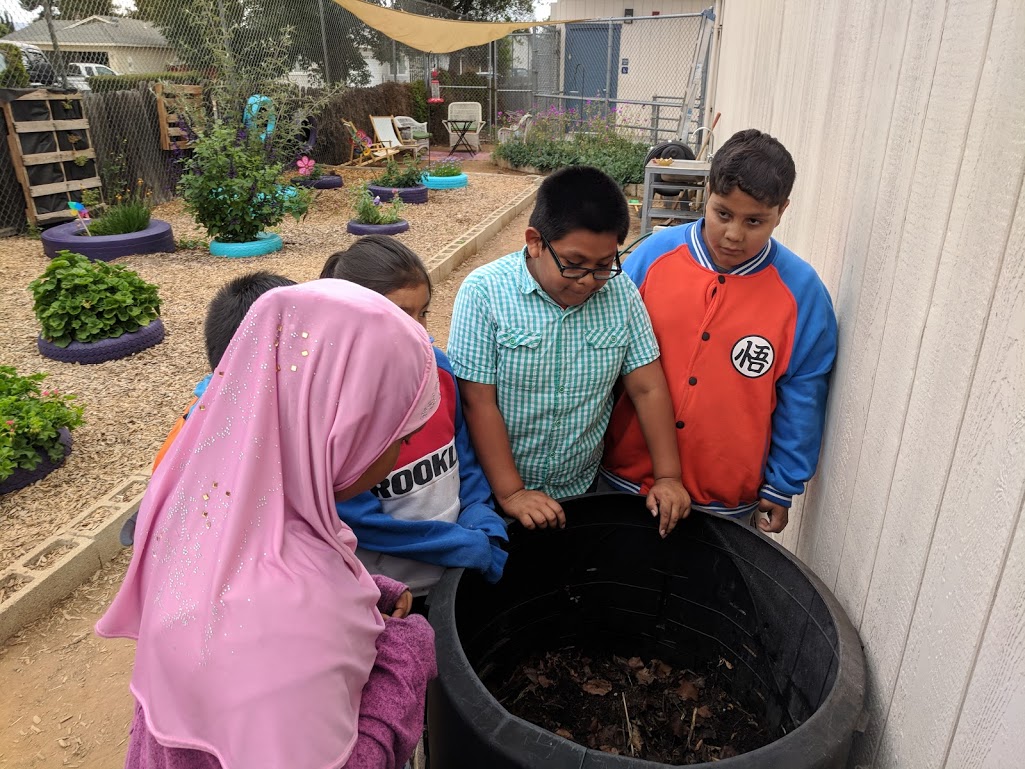 Group of five students look over a rainwater collector bin