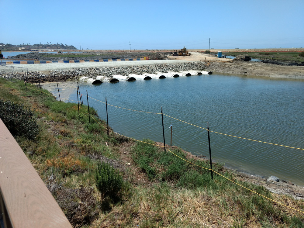 Central Basin Dredging Begins & More Night Lights | Nature Collective