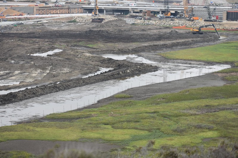 Building Mudflats Nature Collective
