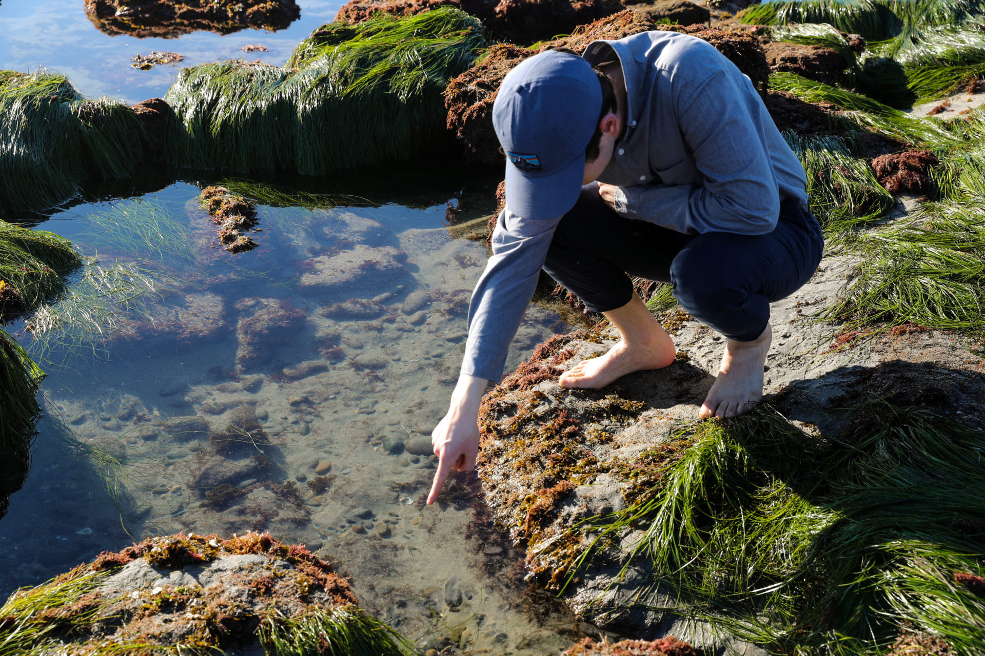 Person kneeling at tidepool and pointing at rock