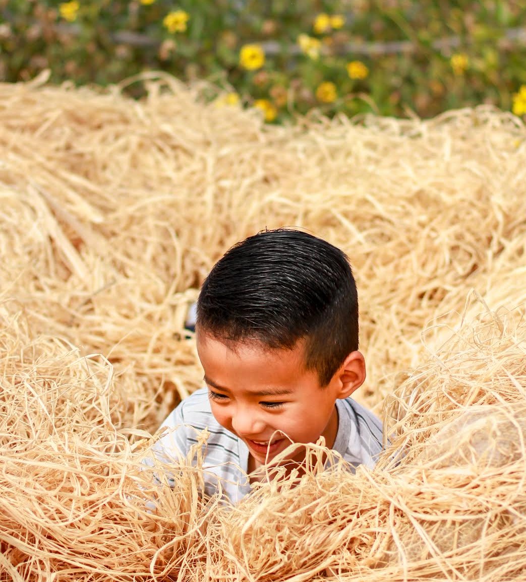 child playing in a nest
